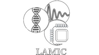 Imagen decorativa : LABORATORIO DE AUTOMATICA, E INTELIGENCIA COMPUTACIONAL ( LAMIC)
