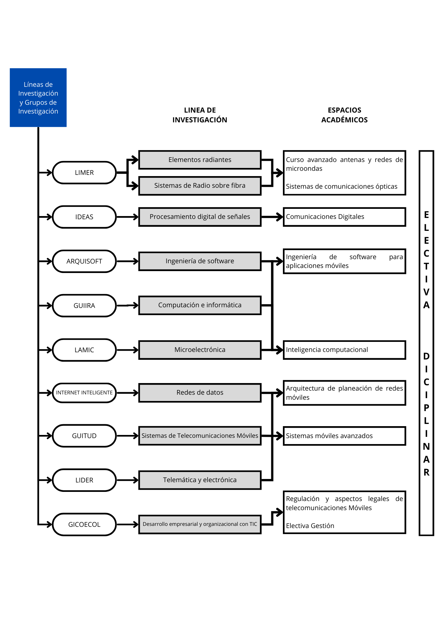 Líneas y grupos de investigación 